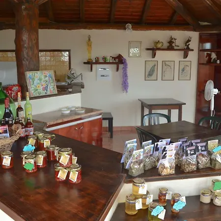 Bed & Breakfast La Fagianaia