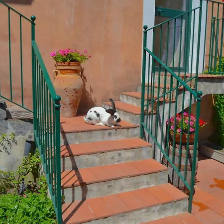 Bed & Breakfast La Fagianaia
